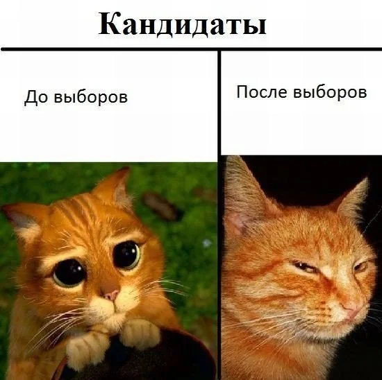 i6N6JitPnwg.webp