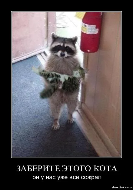 i6qlshfiqquz.webp
