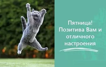 i77.webp