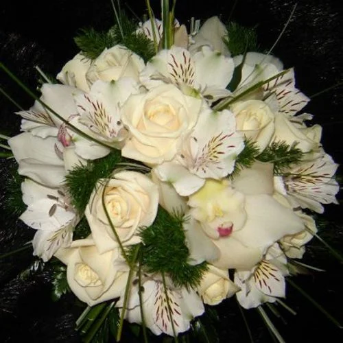 i_216_1.webp