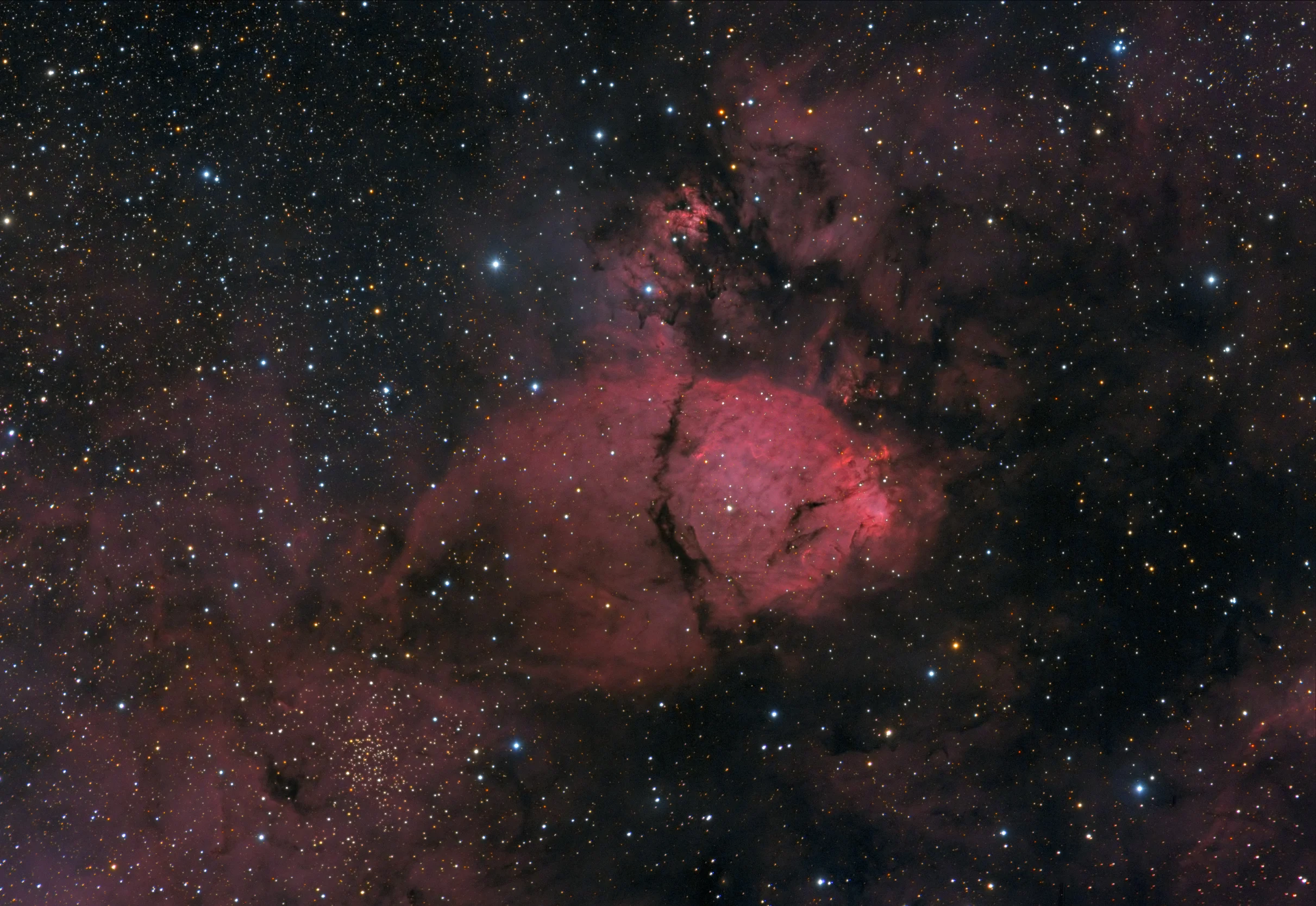 IC1795_fin_50_web_gall_2.webp