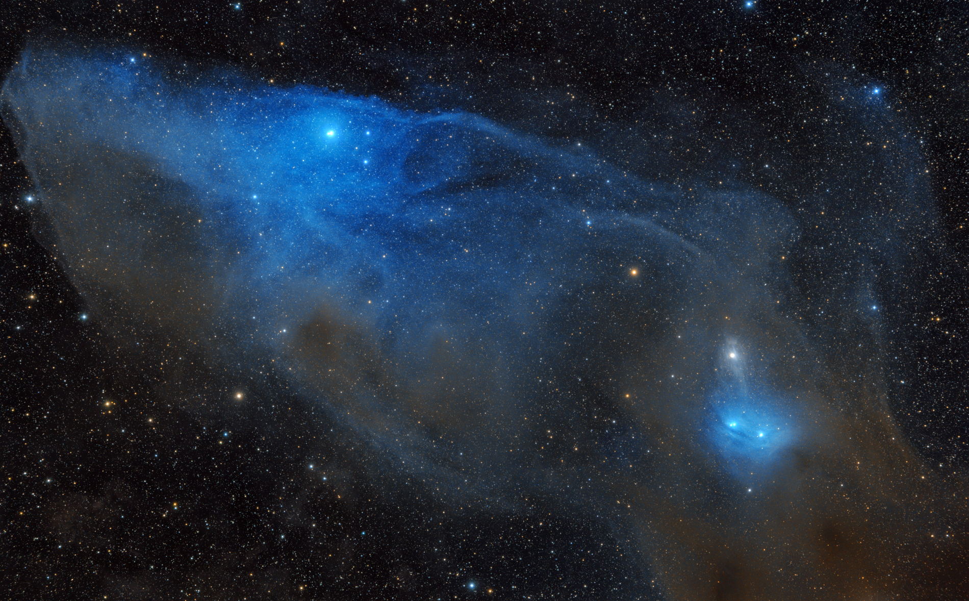 IC4592-12.jpg