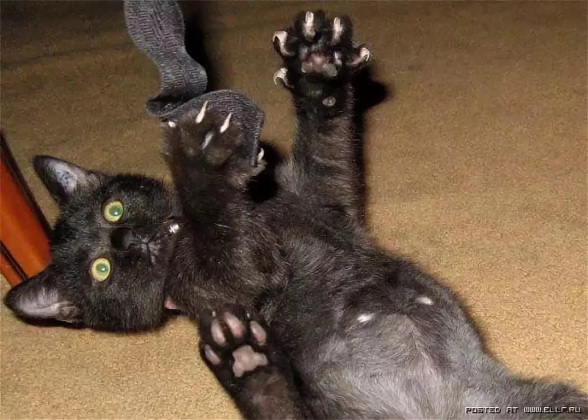 Иди обниму.webp