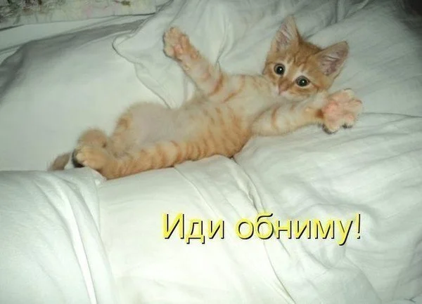 иди обниму.webp