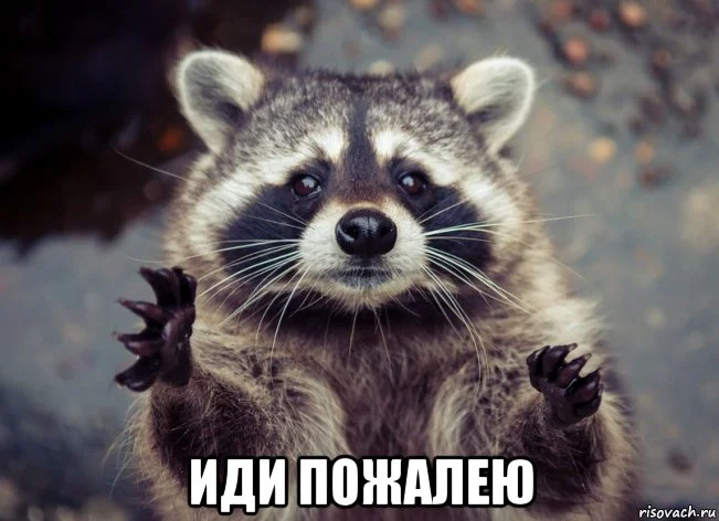 Иди пожалею.webp