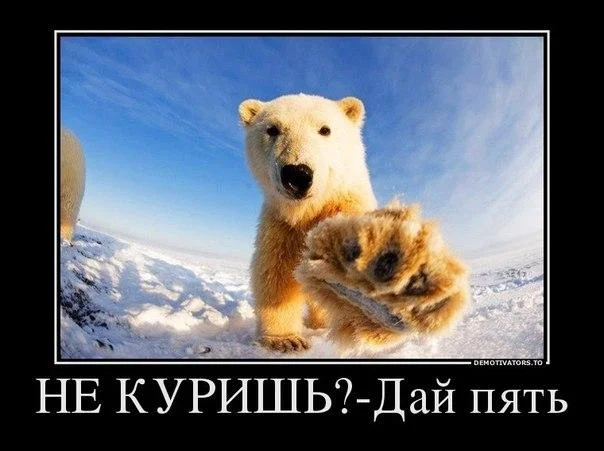 IFL5GyHQoU4.webp