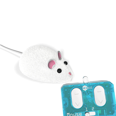 igrushka-dlya-koshki-hexbug-mouse-cat-toy-na-pulte-upravleniya.gif