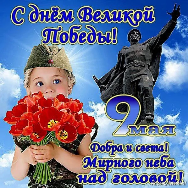 ijCGY9ntLKs.webp