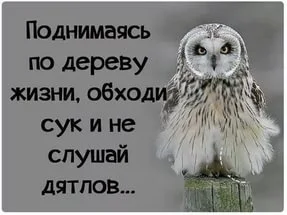 iJQJFBHM9.webp
