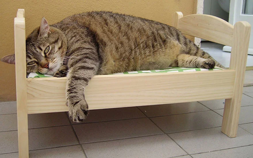ikea-duktig-bed-hack-cat-bed-7.webp