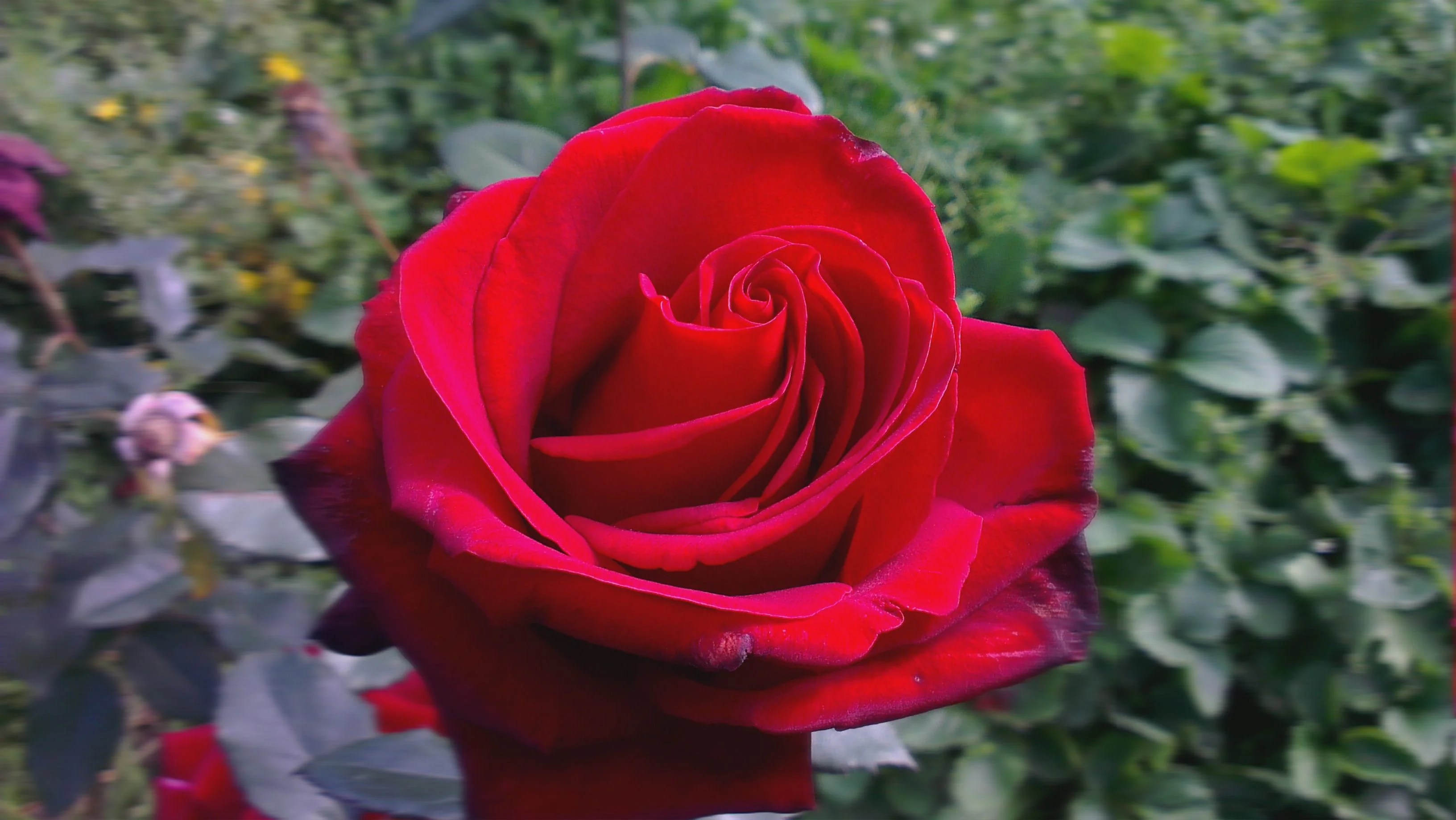 IMAG0012.webp