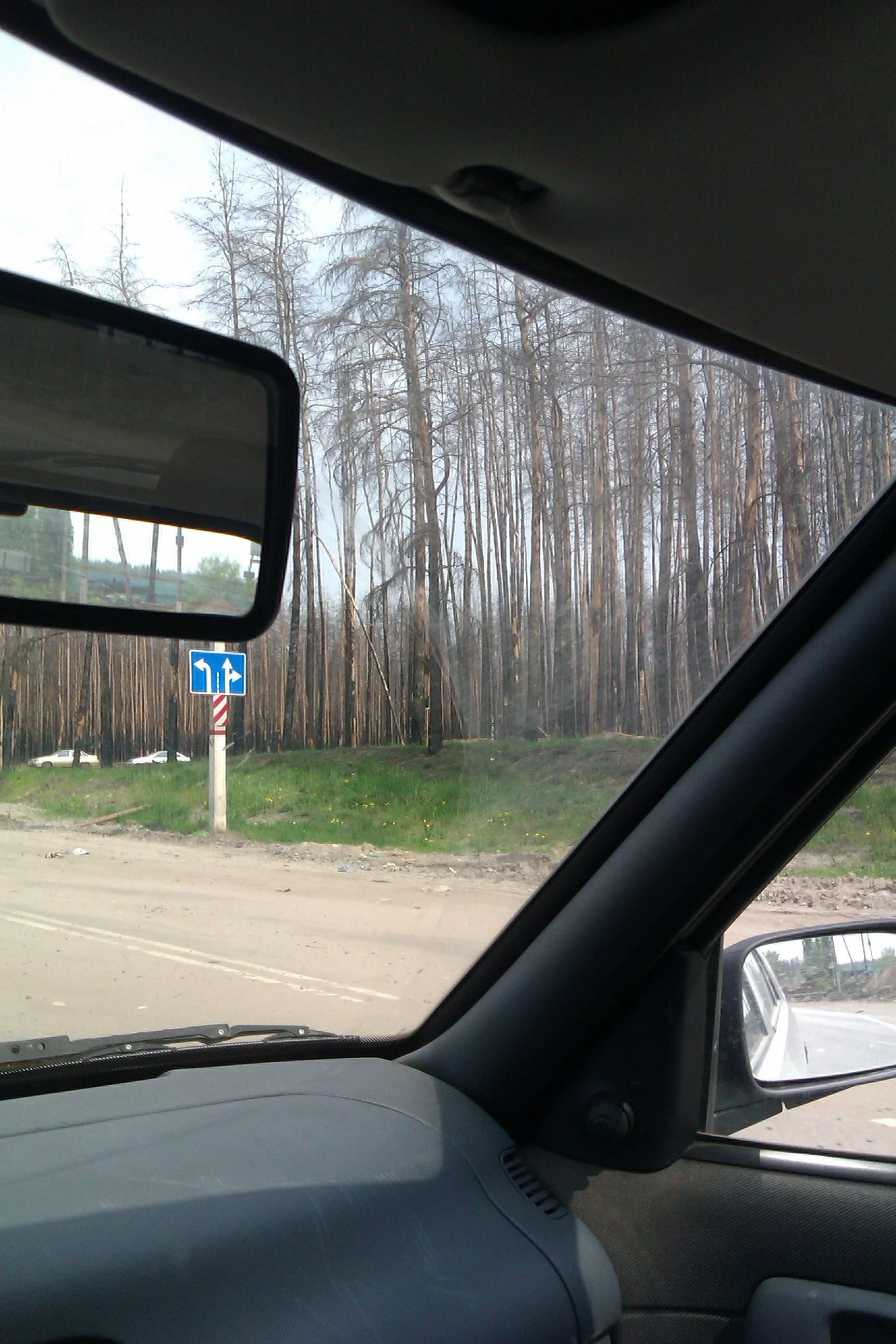 IMAG0112.webp