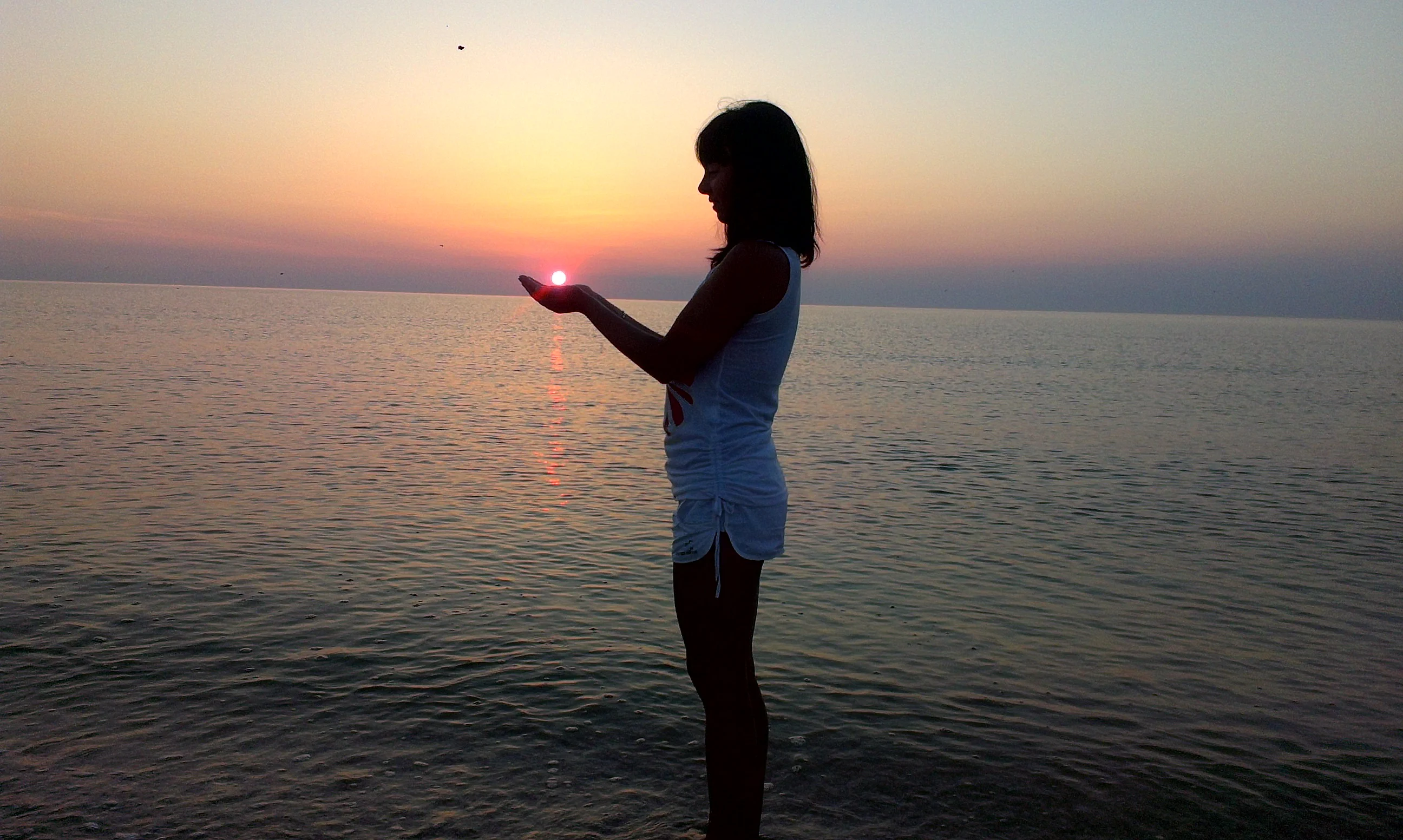 IMAG0755.webp