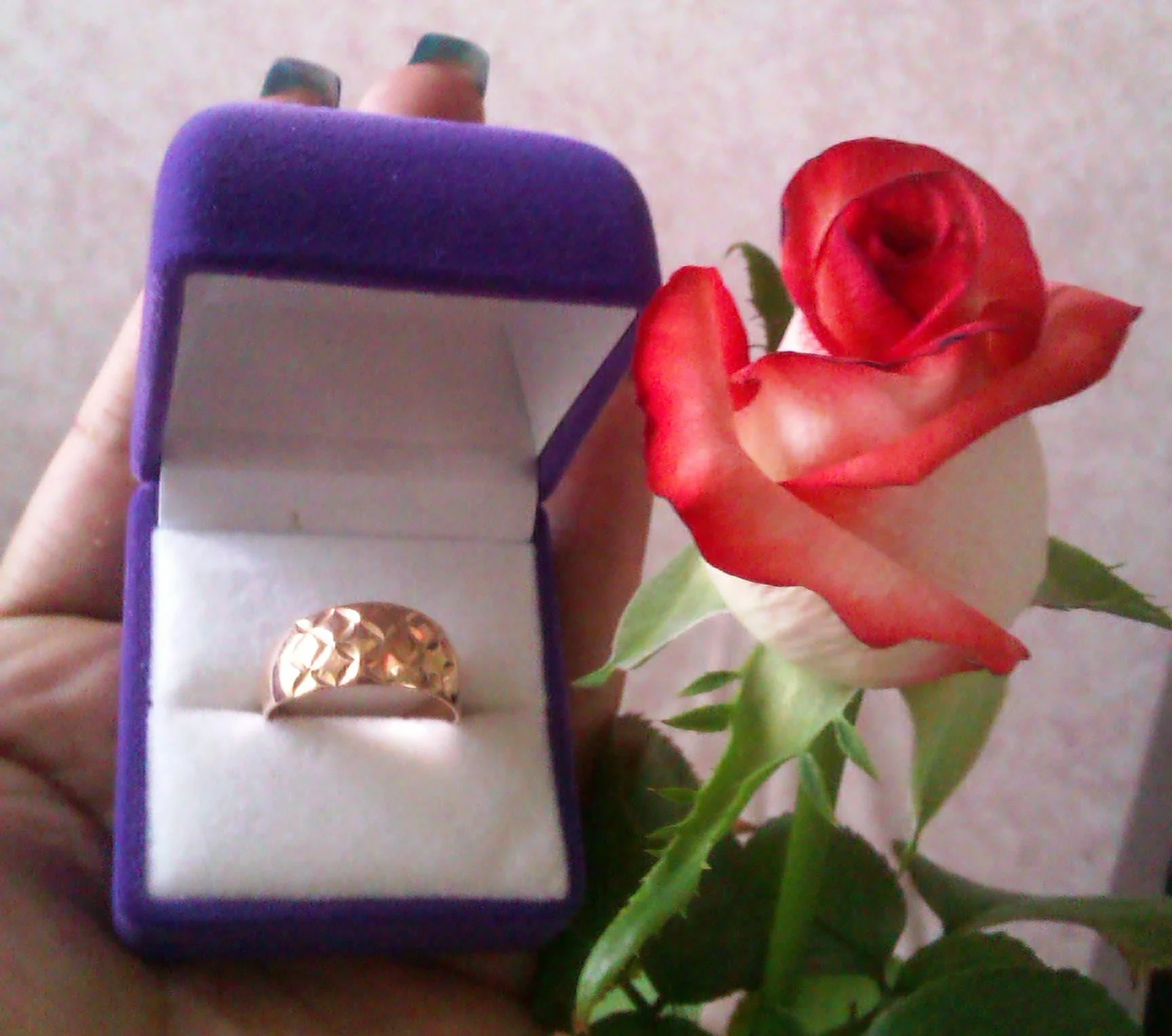 IMAG0774.webp IMAG0774.webp