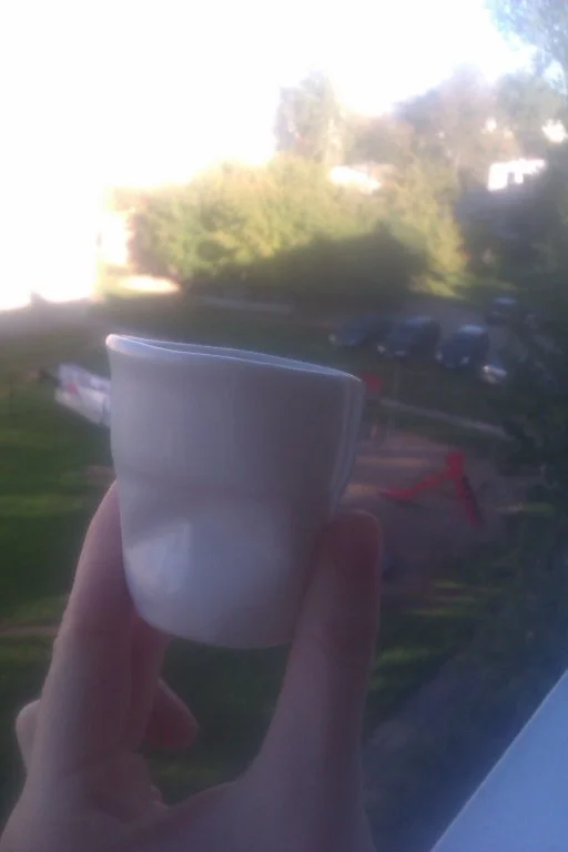 IMAG3037.webp