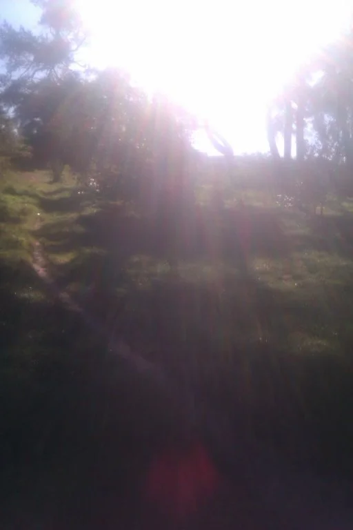IMAG3042.webp