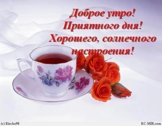 image-0-02-01-6226d57042cd5ee2a436be230f189df76426f9b9a96ce47918cf44f17cf059c6-V.webp