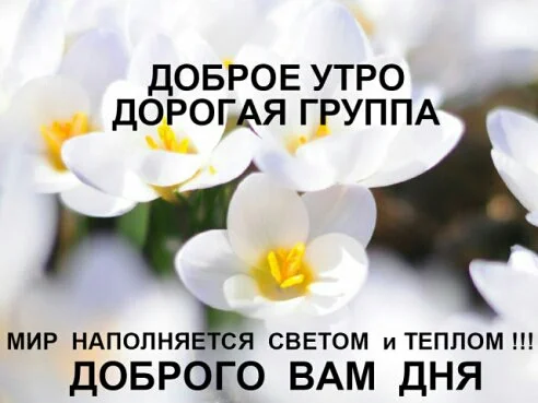 image-0-02-01-fc40df5298045445b6b6e809698230f032eb3f59ddc7eab3bf27c4c6bff8388a-V.webp