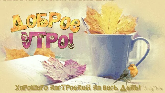 image-0-02-05-6ca8c7187bb6ef39800a46fb94dacdd5680561f3c7fa55201ece0c5514ecec9f-V.webp