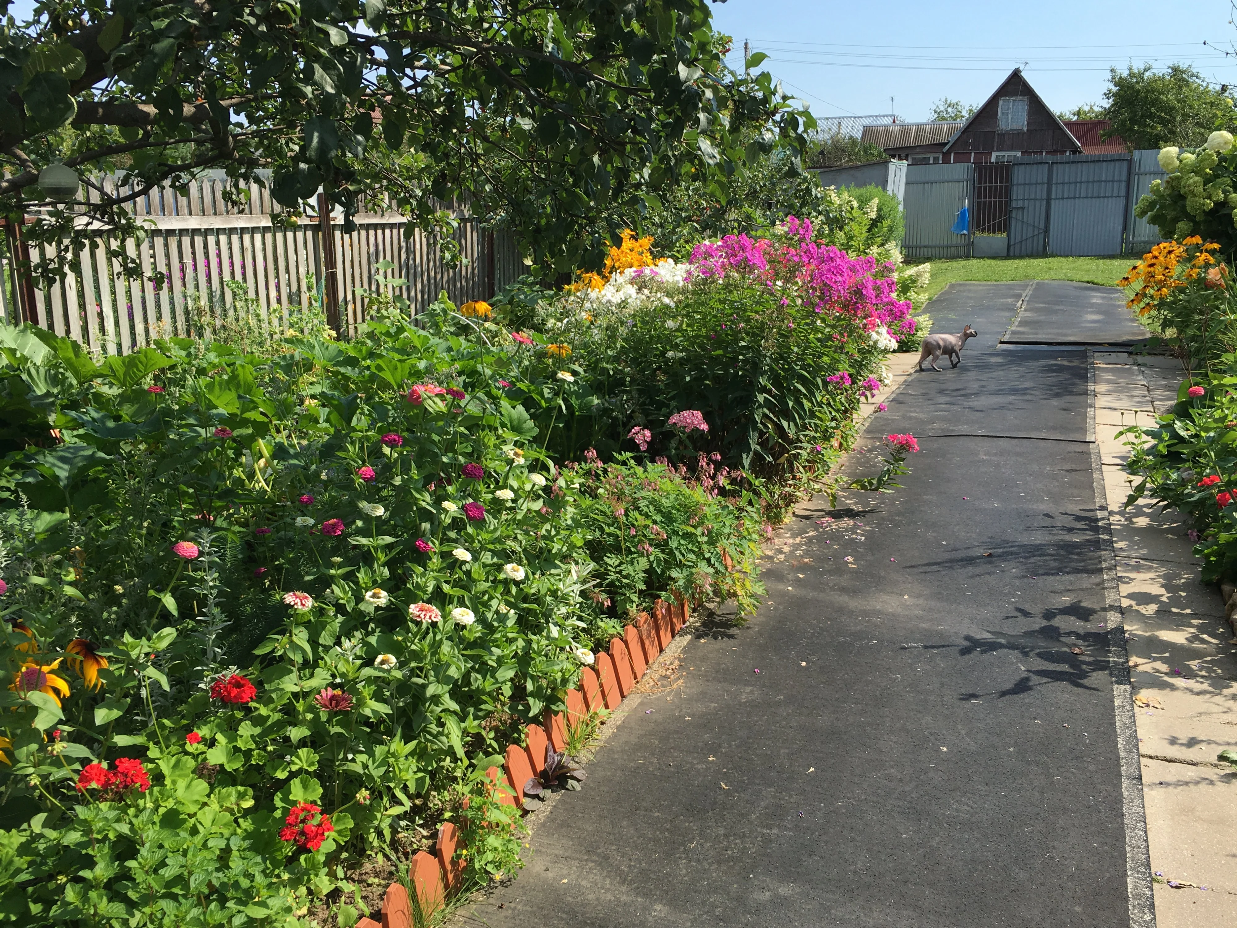 image-07-09-16-17-48 (1).webp