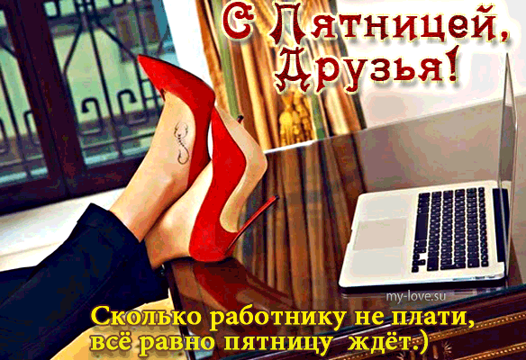 image (1).gif