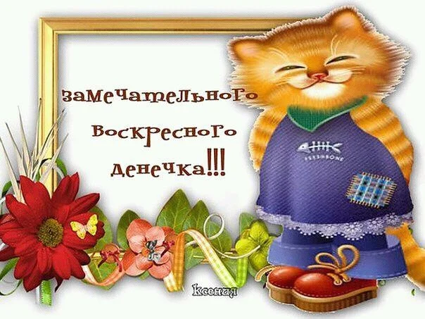 image (1).webp