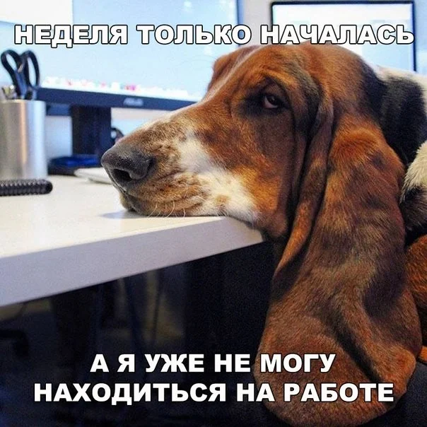 image (1).webp
