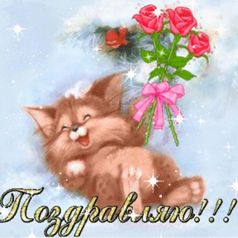 image (14).webp