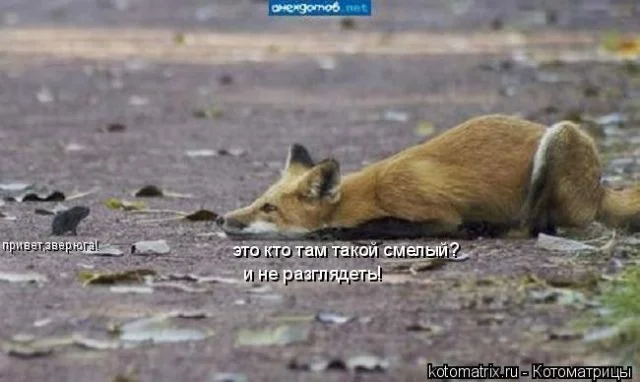 image-15.webp