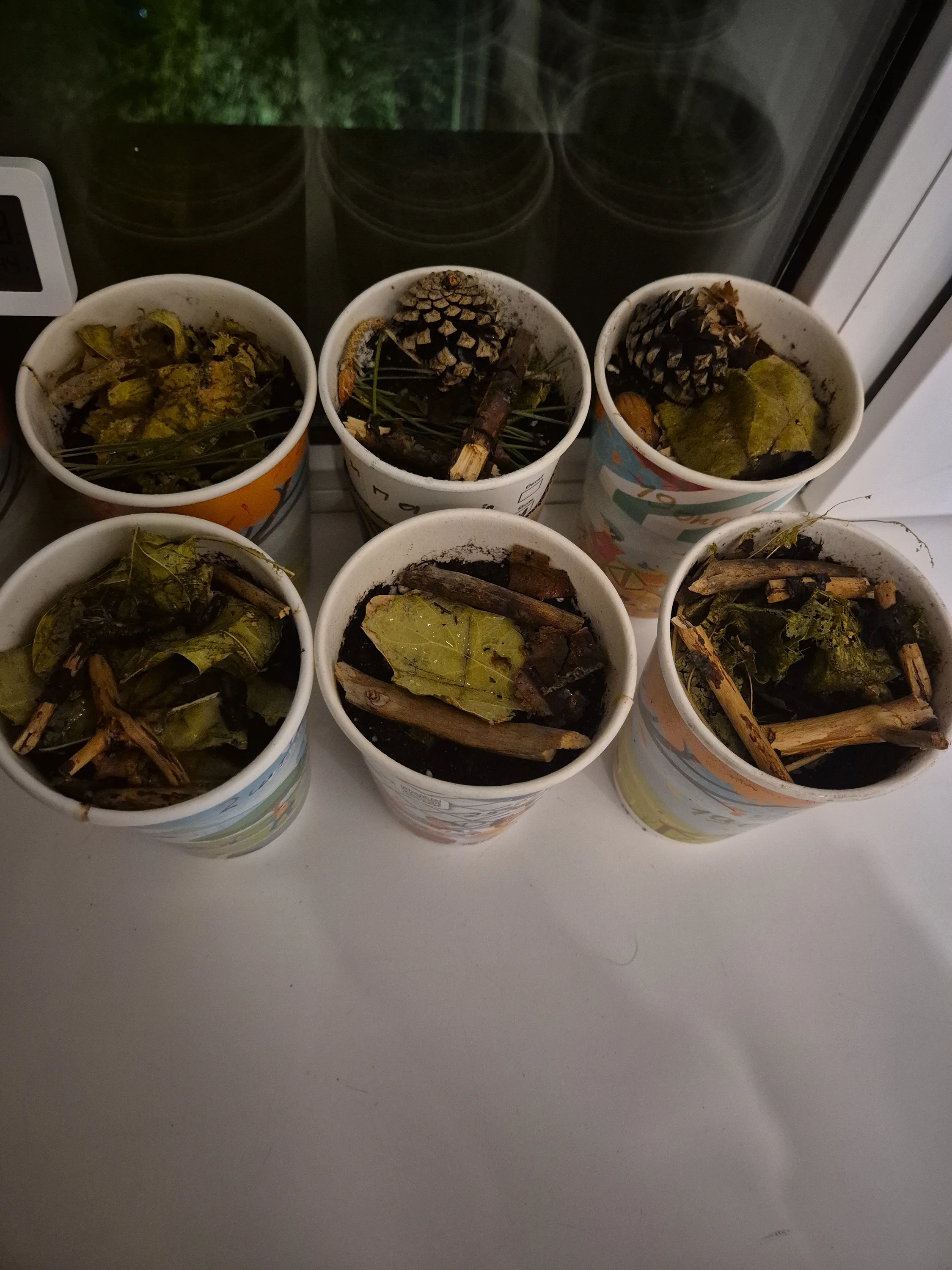 image-1761063726191.webp