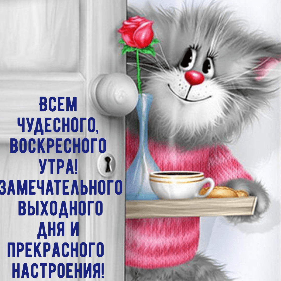 image (19).png
