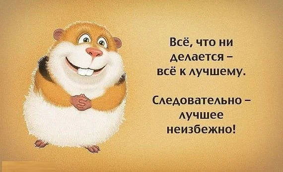 image (19).webp