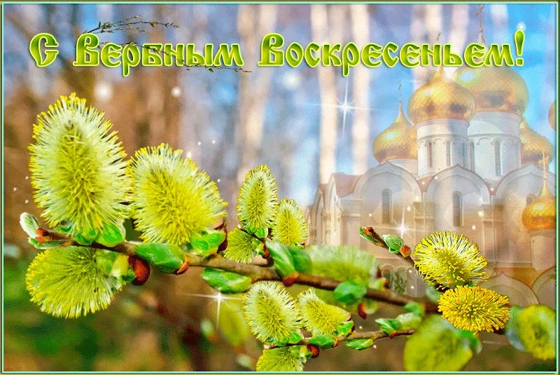 image - 2019-04-20T164323.651.webp