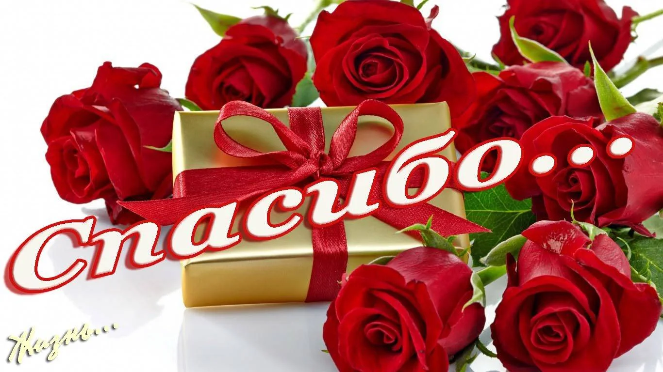 image - 2019-04-24T173533.265.webp