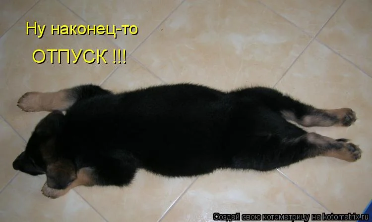 image - 2019-05-24T163648.229.webp