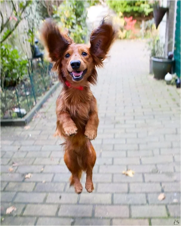 image - 2019-06-30T232329.449.webp