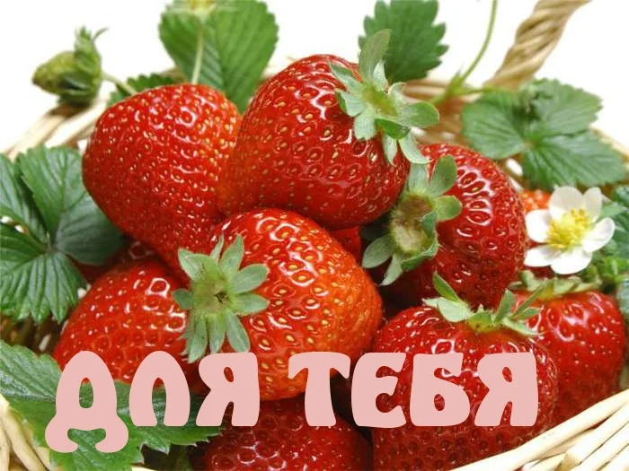 image - 2019-07-06T214920.443.webp