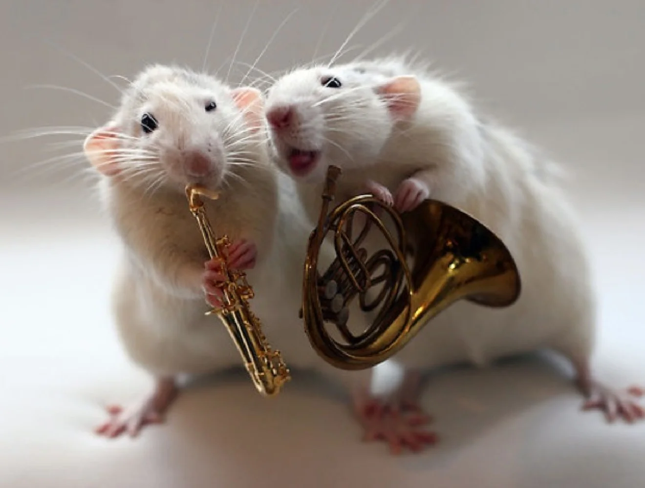 image - 2019-08-10T225318.716.webp