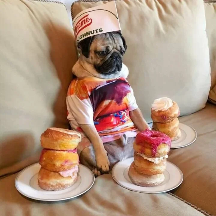 image - 2019-08-14T212152.425.webp