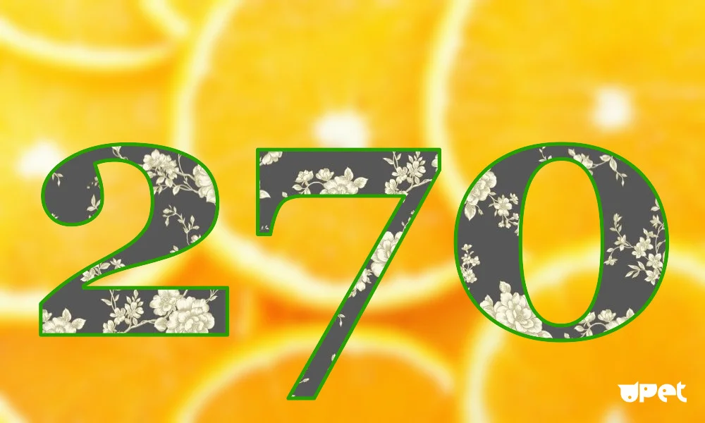 image - 2019-08-17T172813.823.jpg