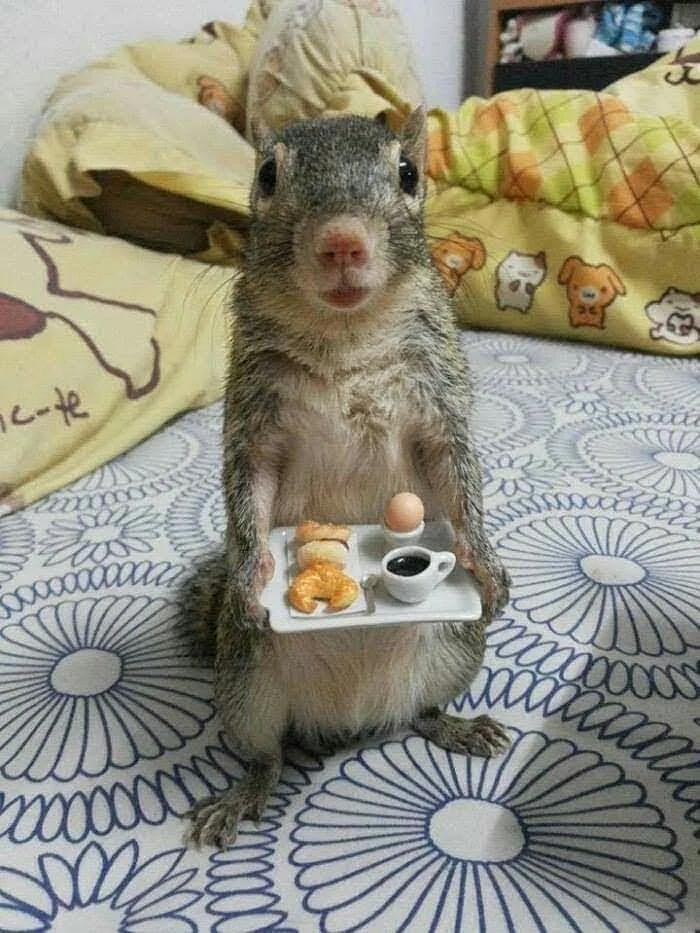 image - 2019-08-29T083112.144.webp