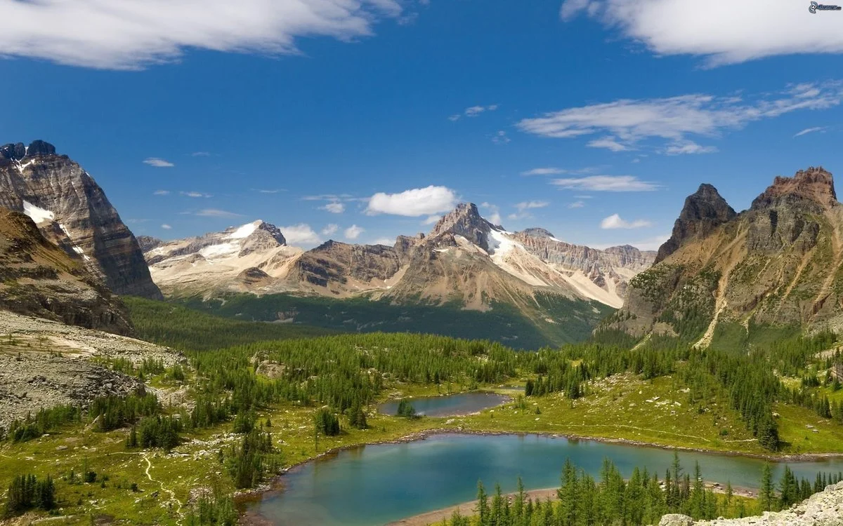 image - 2019-10-02T085742.767.webp