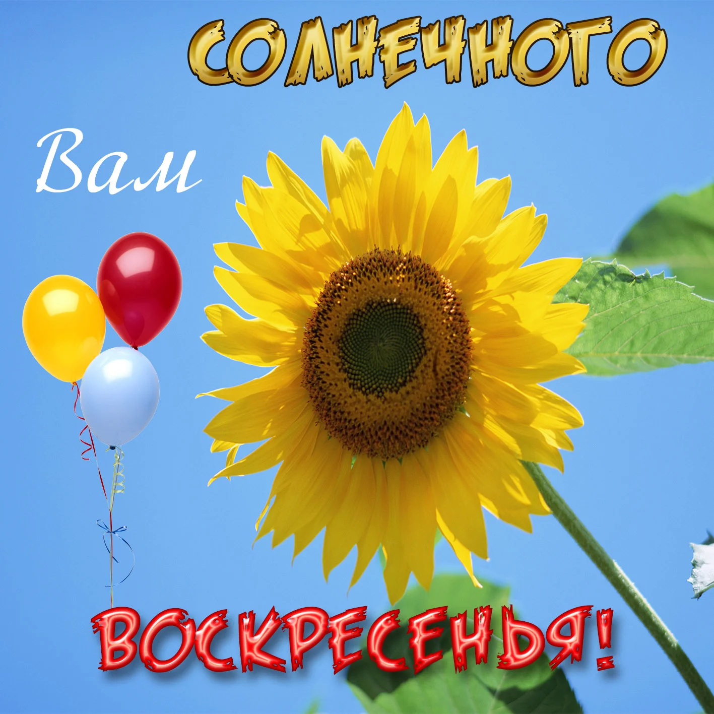 image - 2019-10-13T122043.252.webp