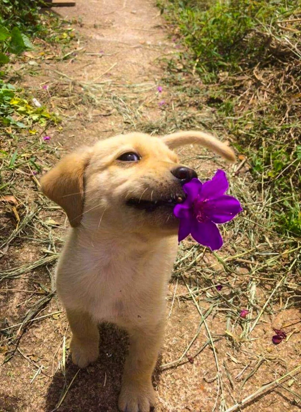 image - 2019-10-24T212748.963.webp