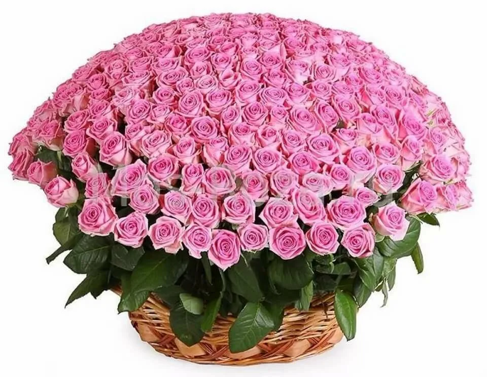 image - 2019-10-26T100809.888.webp