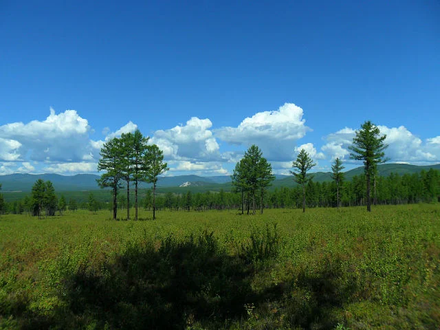 image - 2019-11-01T081513.206.webp