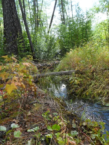 image - 2019-11-01T081535.480.webp