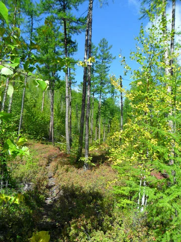 image - 2019-11-01T081540.941.webp