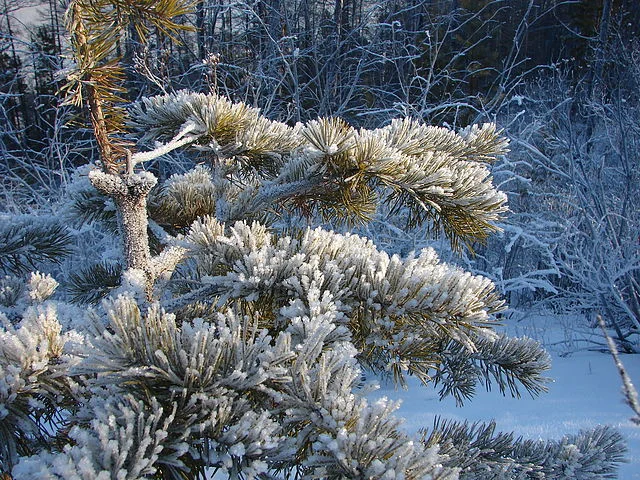 image - 2019-11-01T081956.813.webp