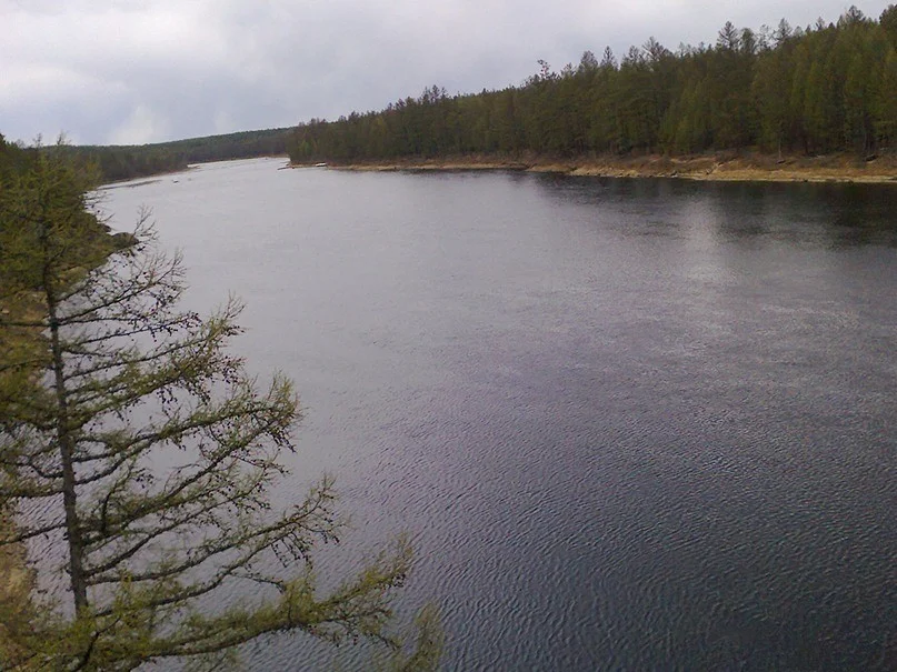 image - 2019-11-01T082929.587.webp